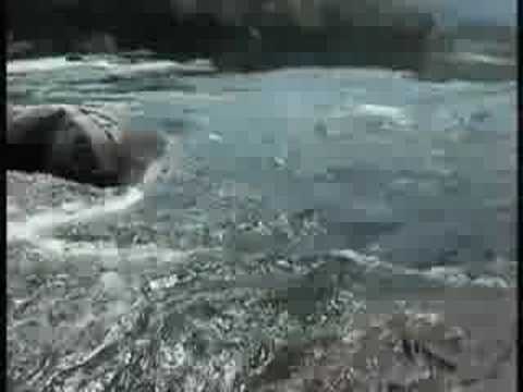 Hokies raftin part 1