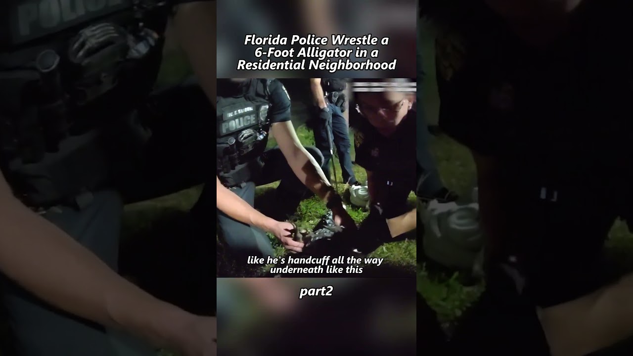 Florida police wrestled with a 6-foot-long alligator in a residential area.