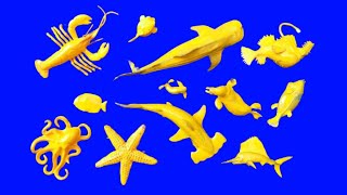 Collect 7 Sea Animals Clown Fish, Hammerhead Shark, Orca Whale, Hermit Crab, Goblin Shark, Sailfish