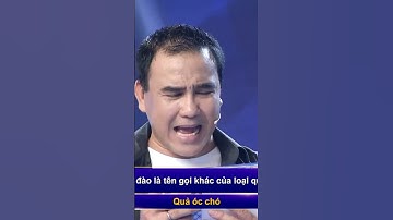 Trí Lực Sánh Đôi | La Thành và phần thi trả lời các câu hỏi siêu mượt của anh ấy #tlsd