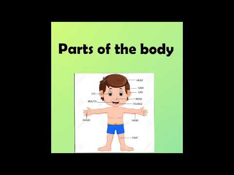 Parts of the body - YouTube