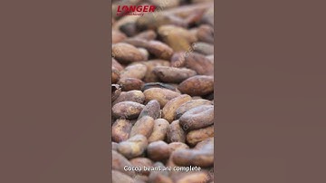 Cocoa Powder/Butter Processing Line/Cocoa Oil Processing line #Shorts