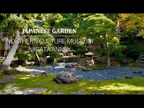 Vídeo: Tea Garden Design - Aprèn a fer jardins de te