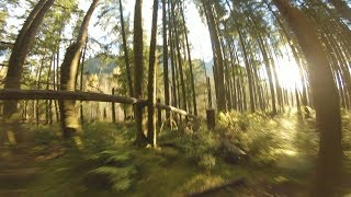Left My Brain In The Forest
What an exciting week!! Missed my usual Tuesday upload, but I think my excuse is worth it. I released my first product. The Super G, with pretty darn good success. Im sold out, in only a few days!
Anywho, I ordered my self a BrainFPV Radix, ended up crashing it in the forest and having to leave it over night. Stomping around the moss and ferns for hours turned up no luck. On the next day though, my luck had turned, I kinda just walked right up to it!
This is my maiden/tuning flights from my Radix build. So far Im super impressed. The quad just flies like a pillow, all of the hard edges are soft and nerfy. Im not sure how to describe it, but its just smooth. Still needs a bit of tuning, as you can see on that final dive down the cliff my yaw does a bit of waggling. I think it has to do with the massive updraft, as well as the big square gopro wind dam out front.
Final words, Radix = Good. I like.
Dont forget to SUBSCRIBE: http://goo.gl/kYwI2e
Thanks to my all my awesome sponsers:
HobbyWing: http://www.hobbywing.com/
Azure Power: http://www.aphobby.com/
Team Black Sheep: http://www.team-blacksheep.com/
ThunderPower: http://www.thunderpowerrc.com/
RotorX: https://rotorxracing.com/
SpektrumRC: https://www.spektrumrc.com/ Left My Brain In The Forest