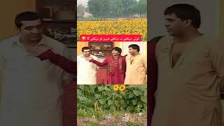 Zafri Khan And Sajan Abbas Stage Drama #youtubeshorts #shortvideo #shorts #short