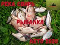 река Свирь рыбалка, лето 2020