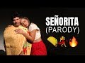 Señorita (Parody) - Audri T