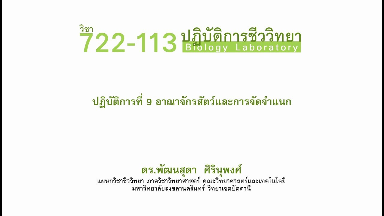 ปฏิบัติการที่ 9 อาณาจักรสัตว์และการจัดจำแนก