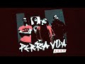 Perra vida  maximum lofi 004