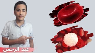 كريات الدم الحمراء والبيضاء