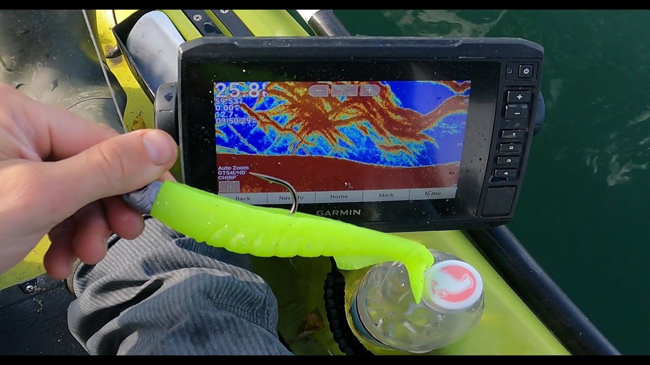 Fall Stripers are in the Bay! (kayak fishing for striped bass) YouTube