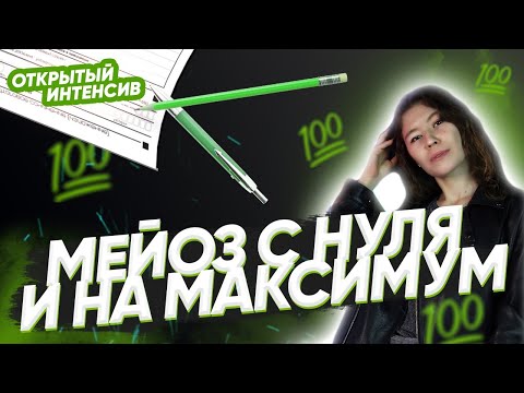 Мейоз с нуля и на максимум