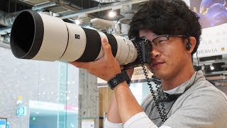 FE 200-600mm F5.6-6.3 G OSS 「SEL200600G」 + 2.0x テレコンバーター「SEL20TC」で撮影テスト。