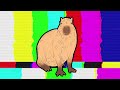 Funny capybara compilation 2023