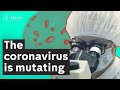 Will the vaccine work against coronavirus mutations?