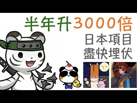 [NFT 中文] CryptoNinja Partners NFT半年升3000倍！日本項目爆發？！Japan NFT CNP VLCNP AoPanda Party Kurenai NFT教學 香港