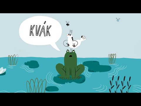 Pokáč - Žába a pták