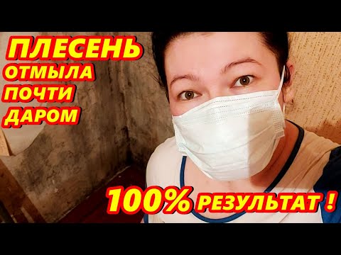 Плесень и грибок стен самый дешевый и эффективный способ избавления