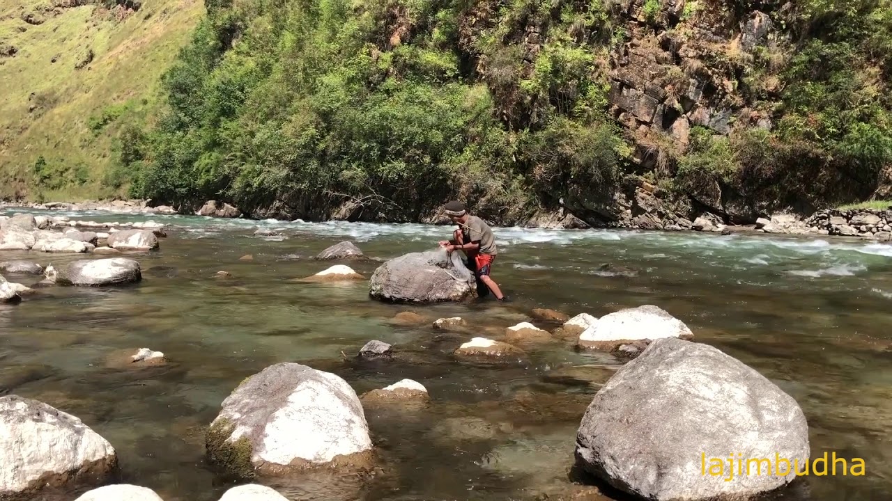 fishing in the himalaya 🐠🐟🐬🐋🦈 village life YouTube