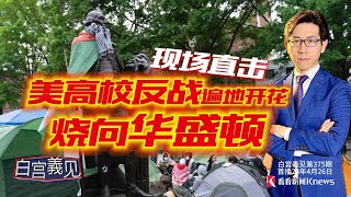 被退學沒在怕，高校反戰潮全美開花，一片看懂來龍去脈 #Ching-Yi Chang