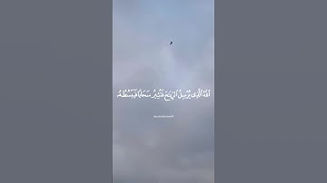 سورة الروم | surat ar-rūm {٤٨} | {48}