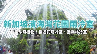 【新加坡旅遊攻略】濱海灣花園必去兩冷室！一次暢遊花穹冷室 ...