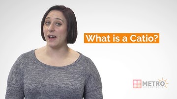 What is a Catio? - Advice From the Window Screen Experts | Metro Screenworks