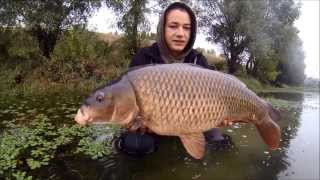 Peche carpe en riviére sur la Loire !!