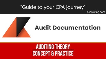 Audit Documentation