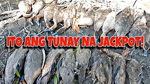 DREAM SPOT OF EVERY HUNTER! | LUNGGA NG MGA WILD DUCK | X4 RAF HUNTER EP50 | #hunting #hunter #fyp