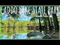 Exploring the beauty of caddo lake state park in texas