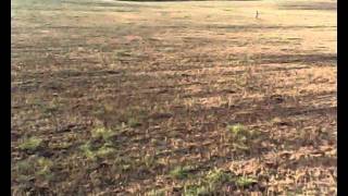 Minimag brushless - on board camera - Porto Cesareo e Alba Italia.wmv