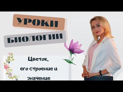 Цветок, его строение и значение