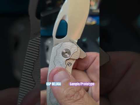 QSP BELUGA - (Sample /Prototype) just plain clean! 
