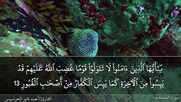 الصفحة 551 سورة الممتحنة والصف بصوت القارئ المهندس أحمد فايز الحراسيس