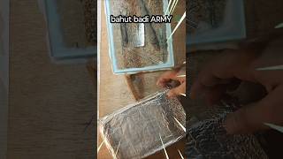 Finally Ant Army Arrived 😱 | Raani Chinti Colony Explosion | 100+ Ants Growth #shorts #antkeeping 🔥🤯