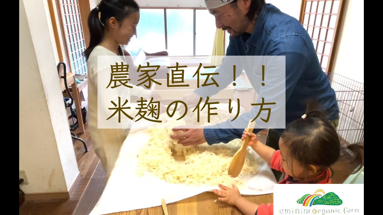 農家直伝！米麹の作り方　コタツを改造して、一年分のお味噌、塩麹、醤油麹、甘酒に必要な米麹を毎年２月に仕込みます。麹菌は＃かわしま屋さんのもやし麹を愛用。