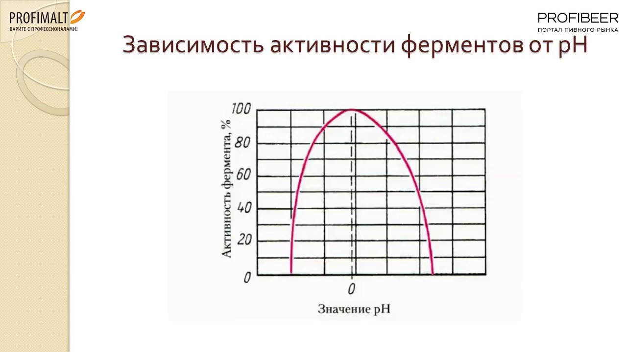 Профибир. Одноотварочный метод затирания. Настойный и Отварочный способ затирания. Режим затирания настойным способом на графике. Длительность затирания.