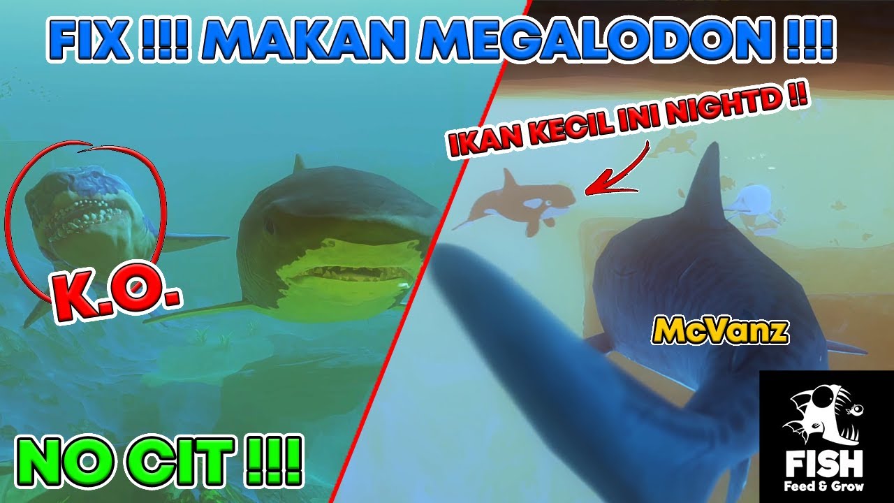 AKU BERTEMU IKAN @NightD24  DAN MELAWAN MEGALODON TANPA CIT !!