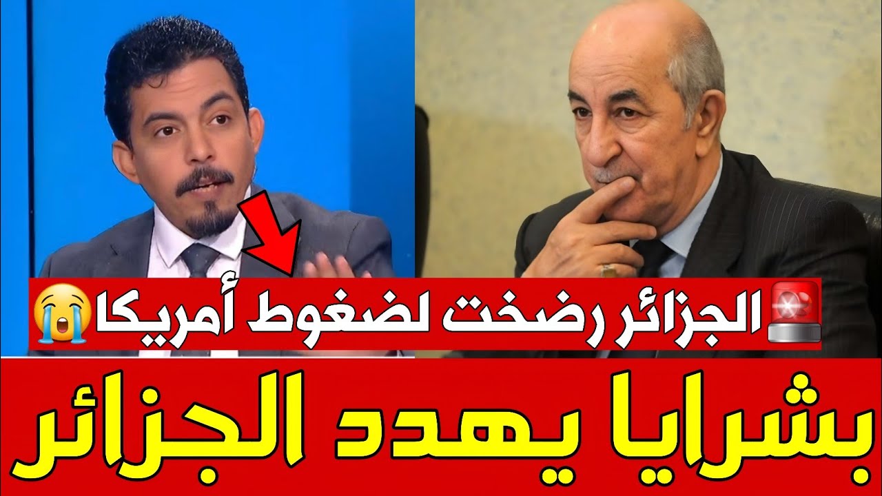 🚨هام : بشرايا البشير يهدد الجزائر ويفضح رضوخ الكابرنات وانقسام البوليساريو 💥