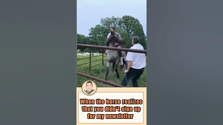 When the horse realizes that you didn't sign up for my newsletter - Funny Video Meme