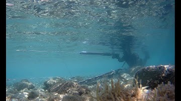 Testing 3 modern 100cm pulley spearguns - wooden INTERCEPTOR, TRITON ULTIMATE & NEOCARBONE