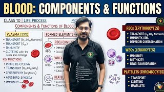 Components &amp; Functions of Blood Class 10 | Life Processes Biology