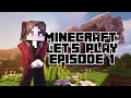 First Minecraft Let's Play