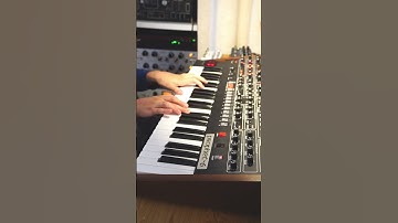 Sequential Prophet-6 poly mod chords #electronicmusic #synth #ambient #analog #synthesizer