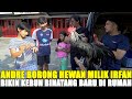 SULTAN BINTARO BORONG SEMUA HEWAN PELIHARAAN IRFAN... KENZY MAU ULAR DAN MONYET VIRAL