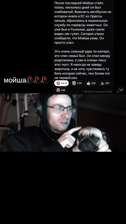 #Мойша🥀🥀🥀 #rip #мойша #алексейшевцов #шевцов #itpedia - YouTube