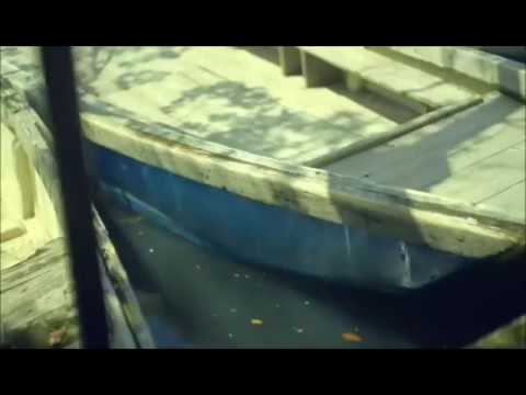 Infinite-wings