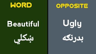 100 Opposite English words in pashto