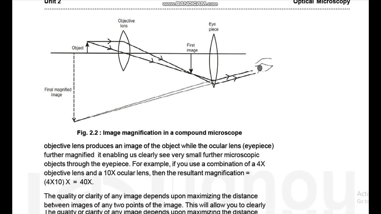 working-mechanism-of-compound-microscope-work-of-basic-parts-of